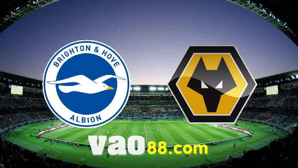 Soi kèo nhà cái Brighton vs Wolves – 02h30 – 16/11/2021