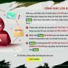 phân biệt website Fb88 thật hoặc giả