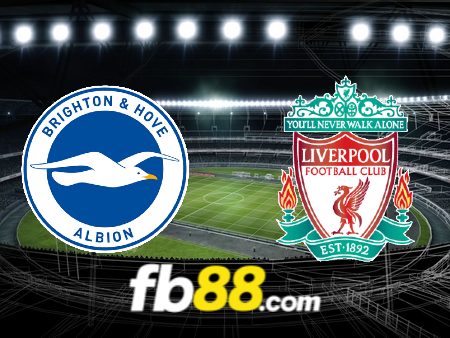 Soi kèo nhà cái Brighton vs Liverpool – 20h00 – 08/10/2023