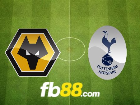 Soi kèo nhà cái Wolves vs Tottenham – 19h30 – 11/11/2023