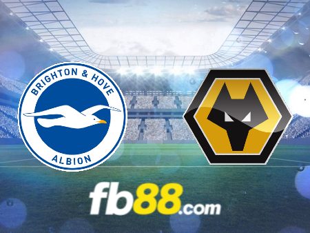 Soi kèo nhà cái Brighton vs Wolves – 02h45 – 23/01/2024