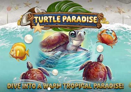 Turtle Paradise – Phiên bản nổ hũ hấp dẫn nhất tại nhà cái FB88